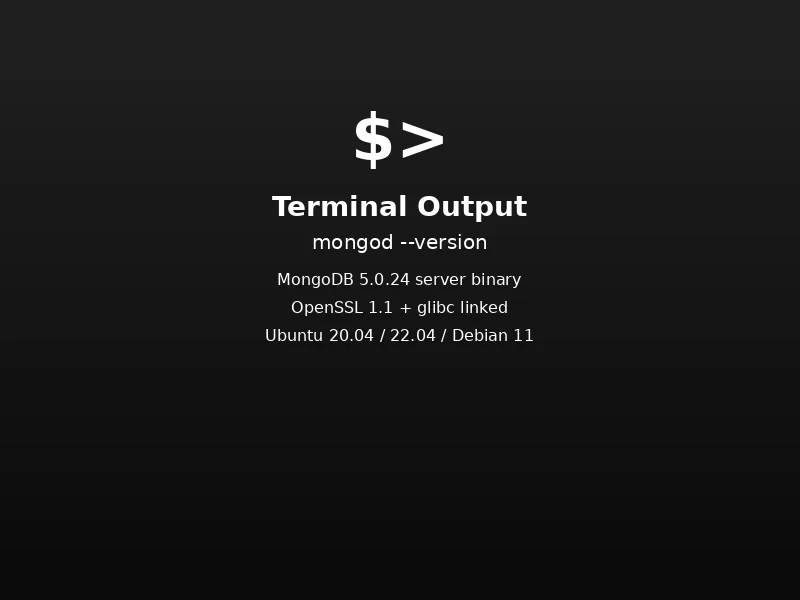 MongoDB server terminal output